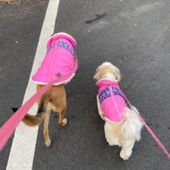 Aspen Puffer Pink Vest