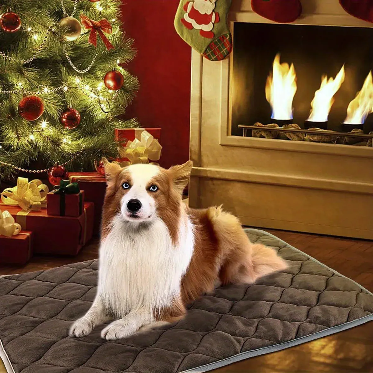 Cat Dog Non-Slip Mat, Extra Warm Thermal Pet Pad