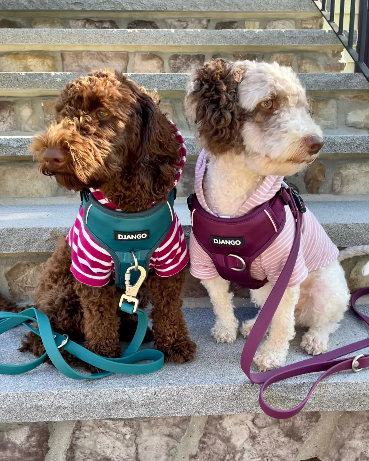 Dog Hoodie - Boysenberry