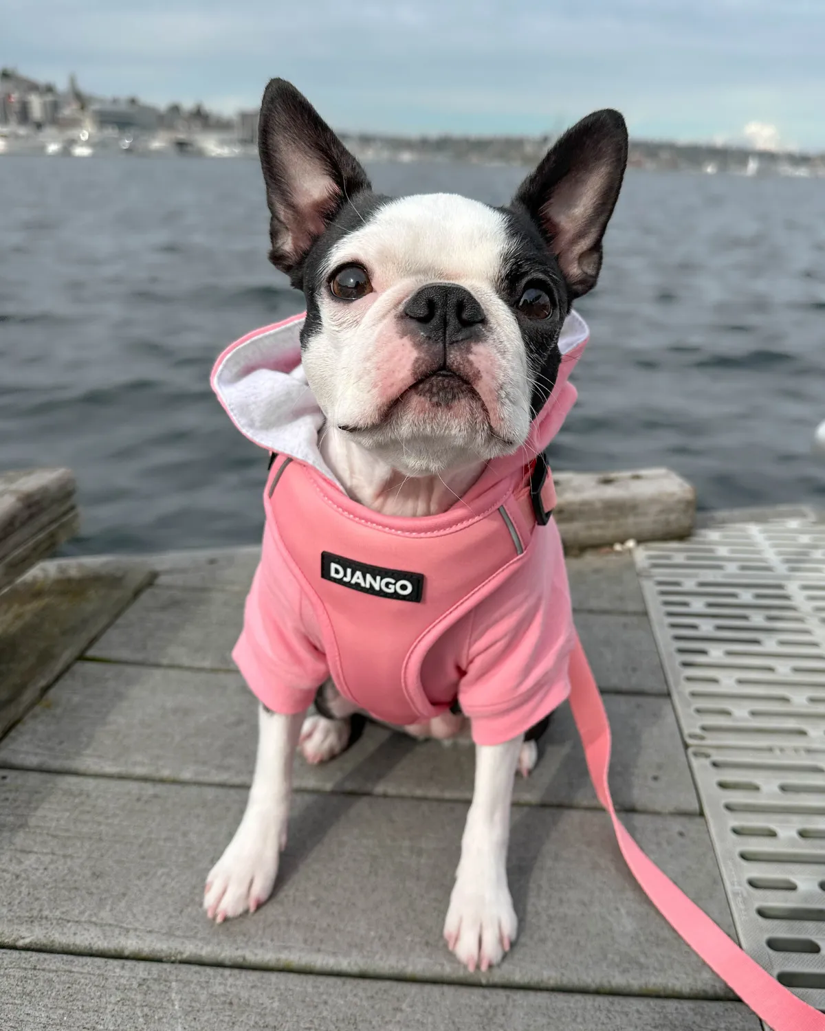 Dog Hoodie - Quartz Pink