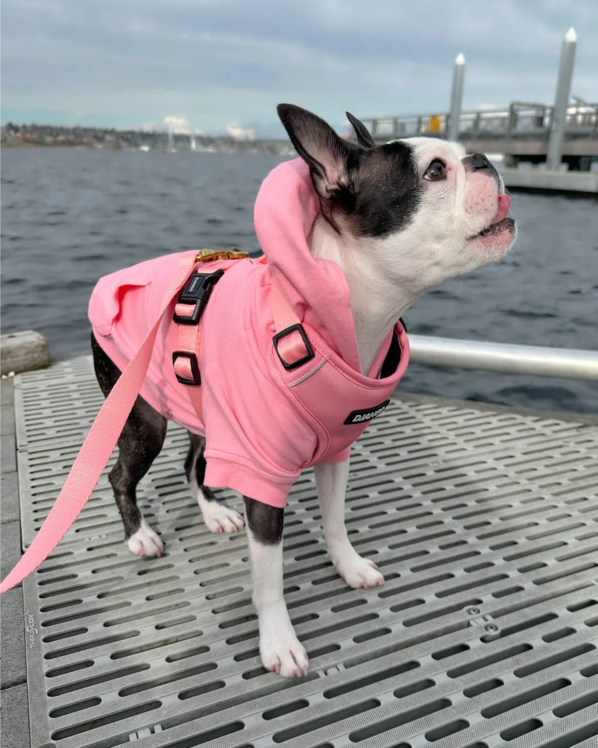 Dog Hoodie - Quartz Pink