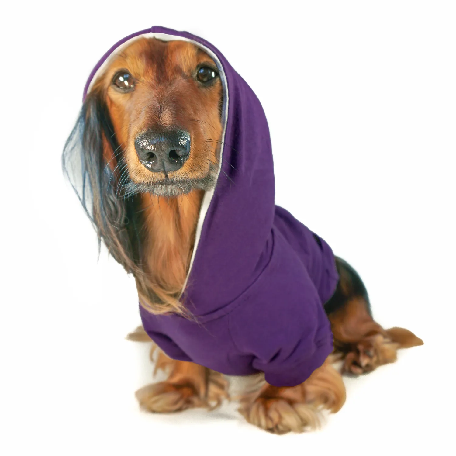 Dog Hoodie - Royal Purple