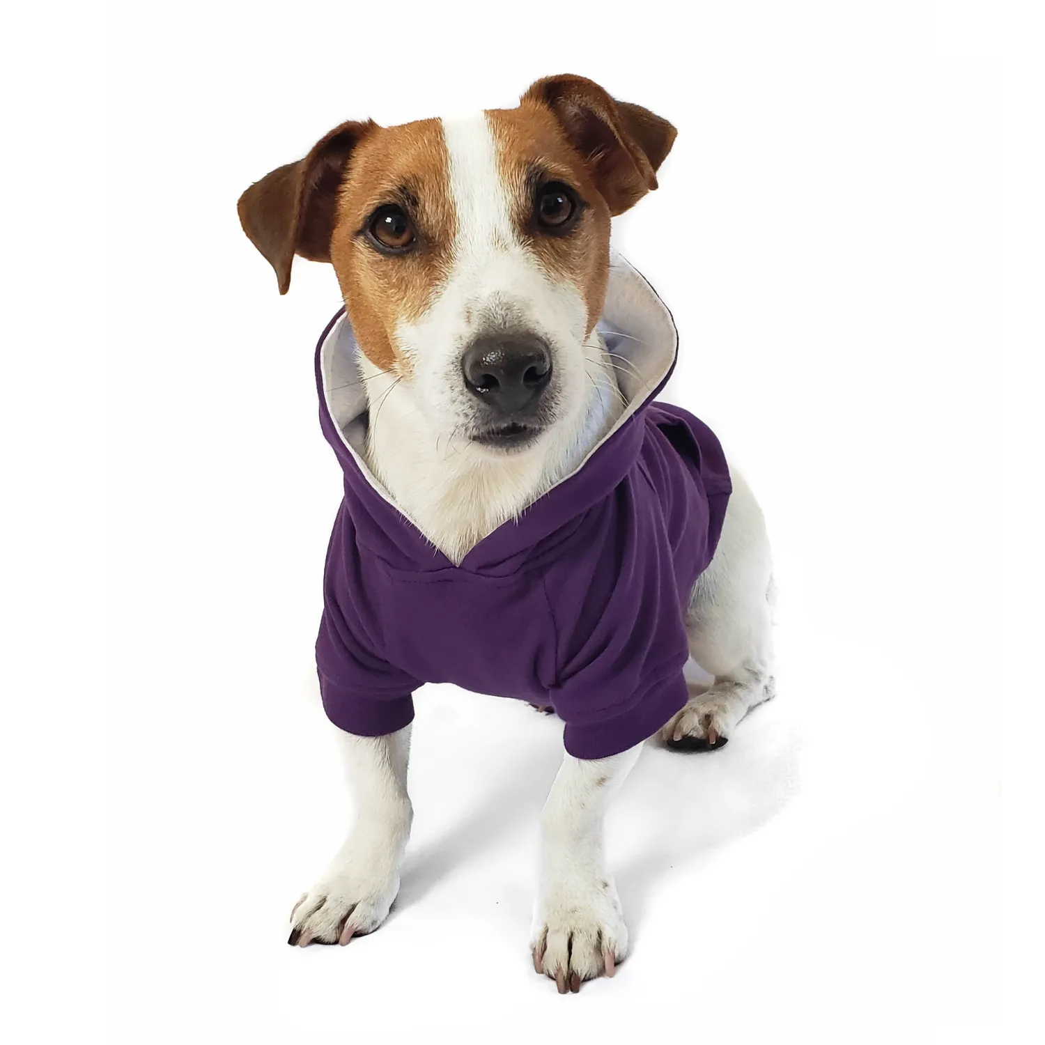 Dog Hoodie - Royal Purple