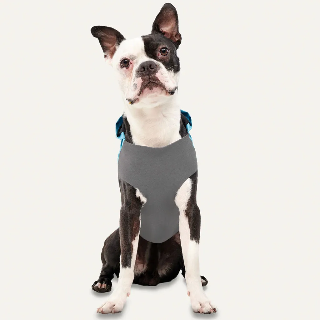 Goo-eez Reflective Hooded Raincoat Baby Blue for Dogs