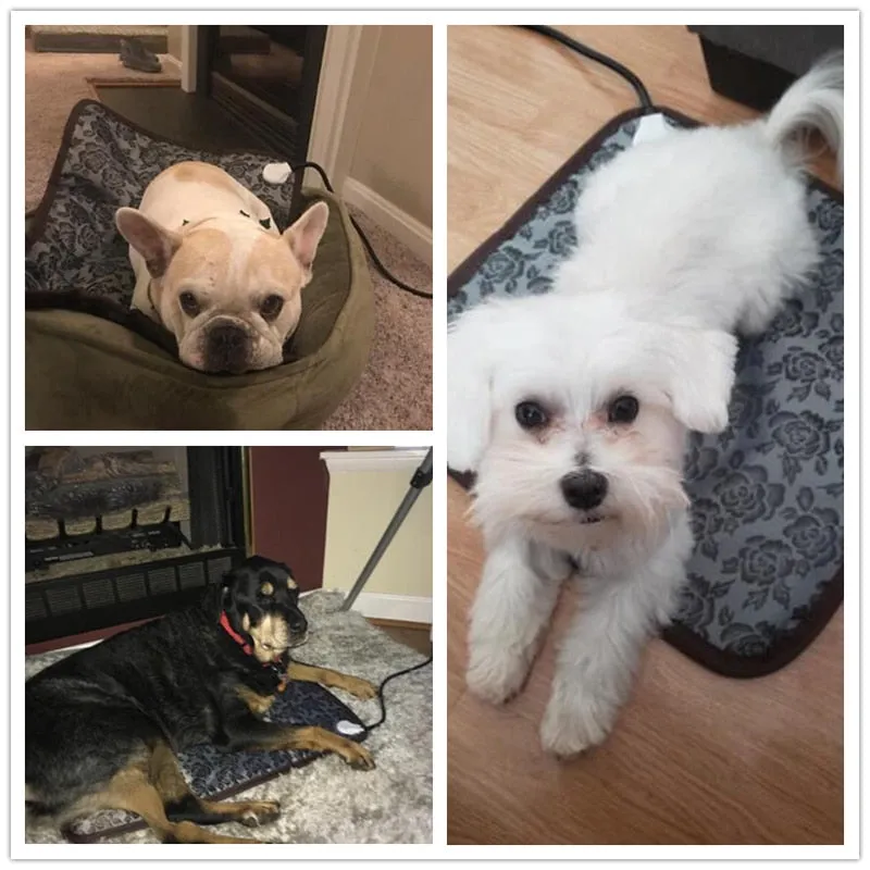 Heated Pet Mat