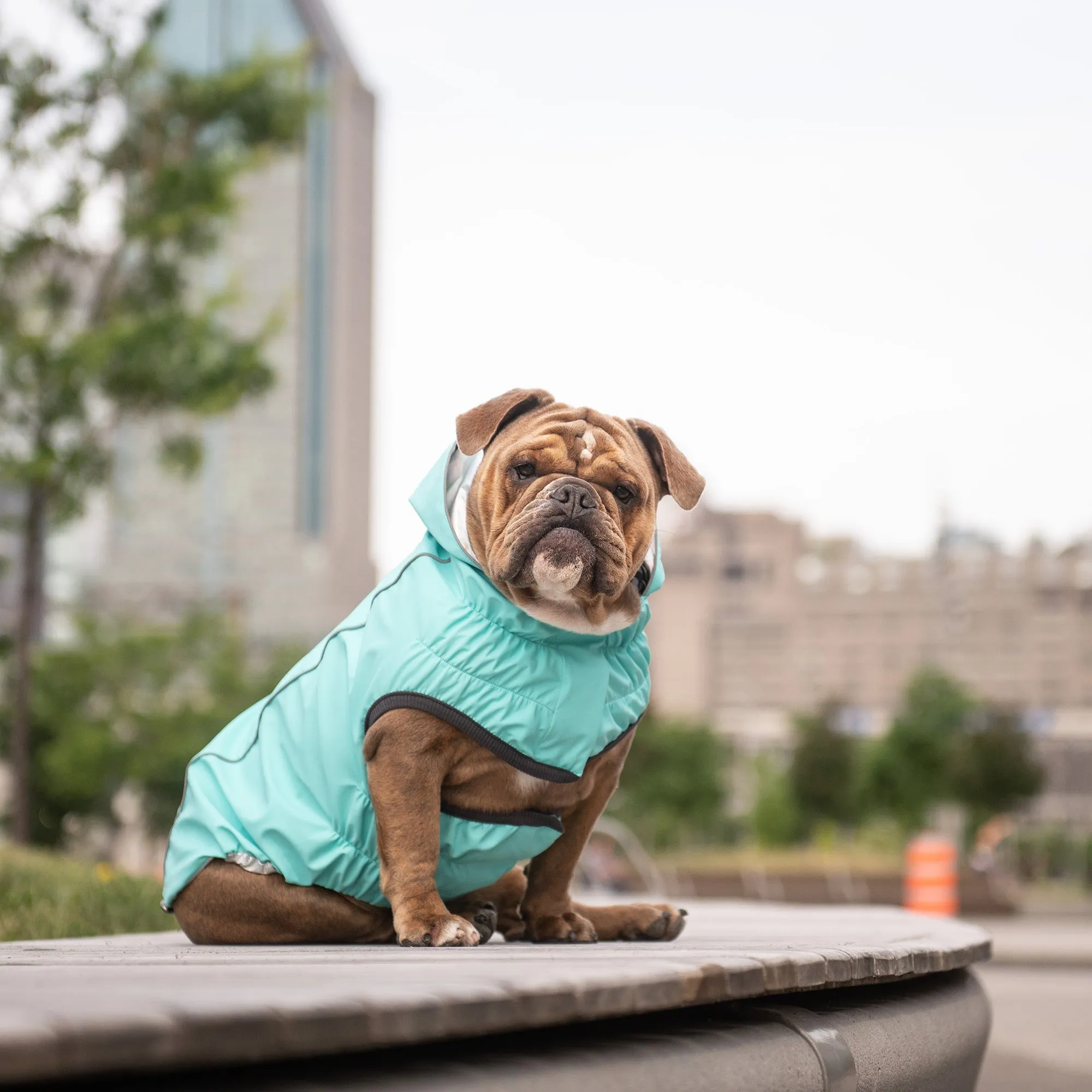 Reversible Raincoat | PetPals®