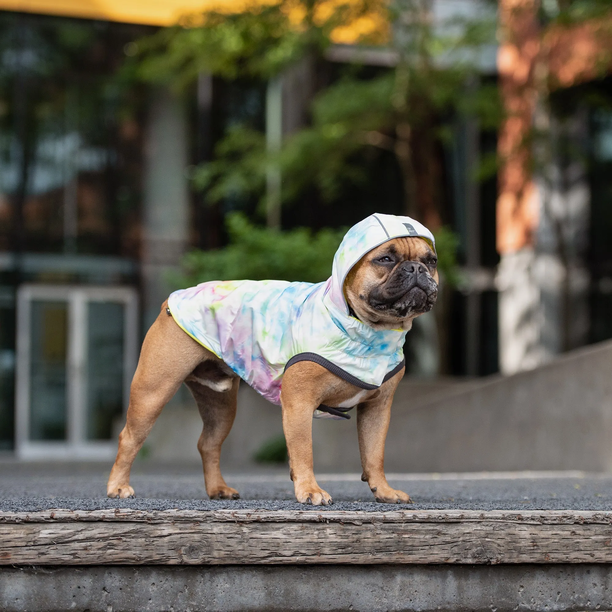 Reversible Raincoat | PetPals®