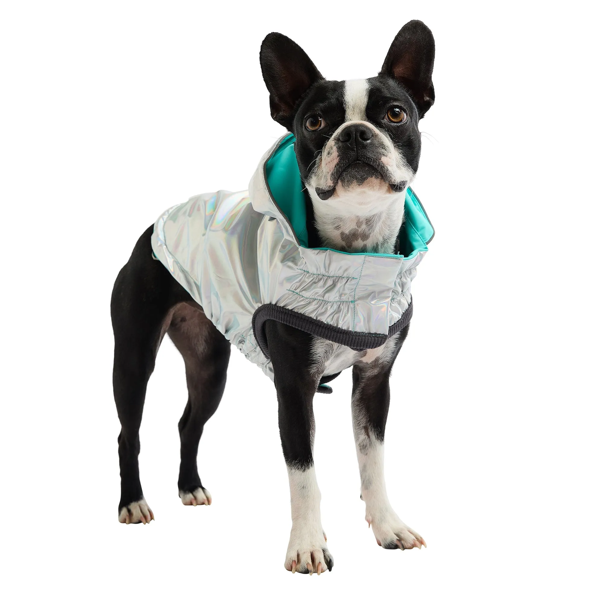 Reversible Raincoat | PetPals®