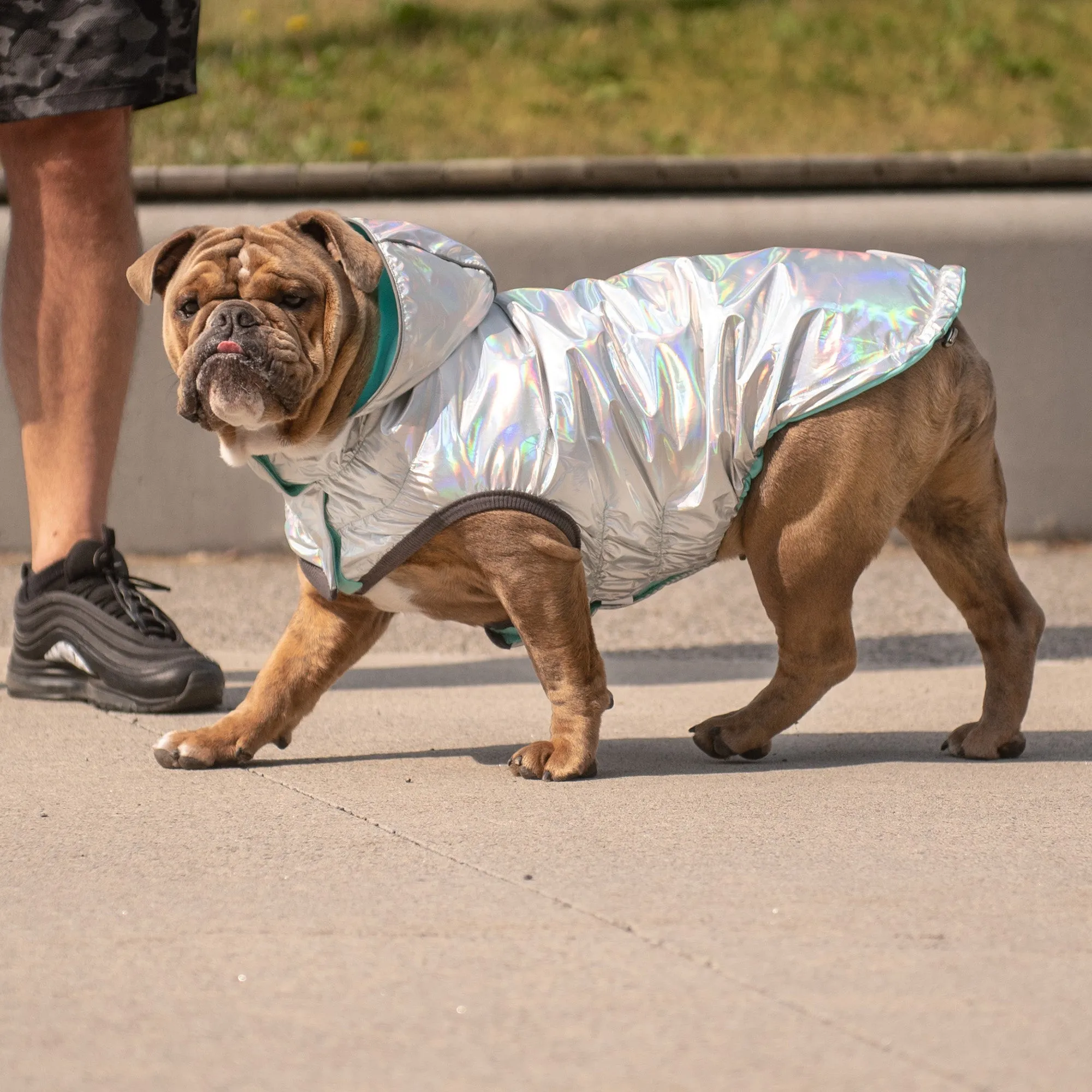 Reversible Raincoat | PetPals®