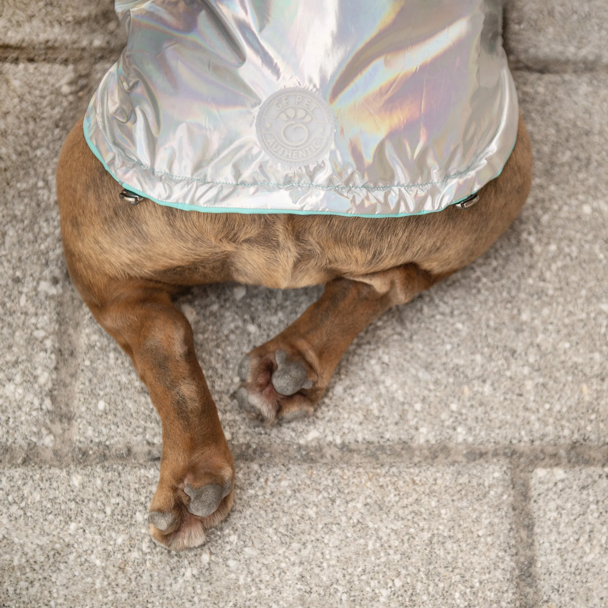 Reversible Raincoat | PetPals®