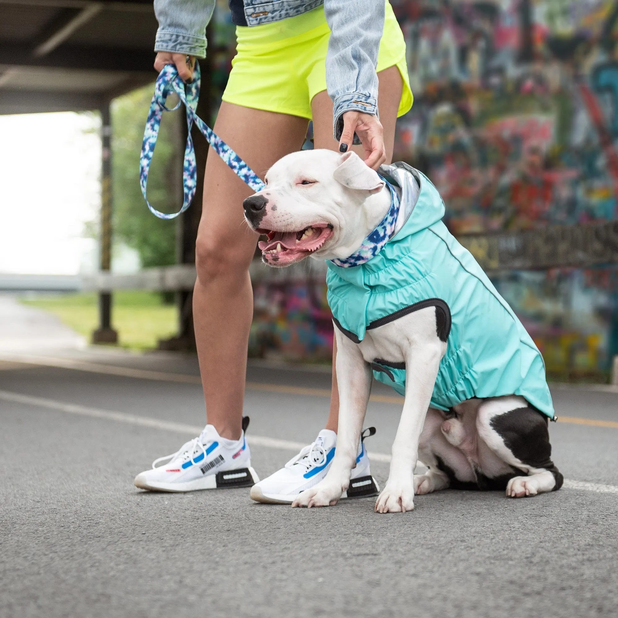 Reversible Raincoat | PetPals®